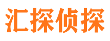 盐湖侦探公司